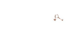 Nikki Burch, Realtor MRP